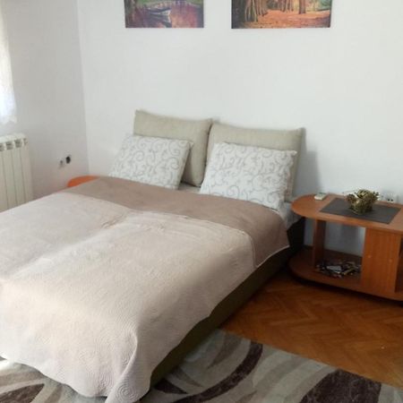 Cozy studio Belgrade  Buitenkant foto
