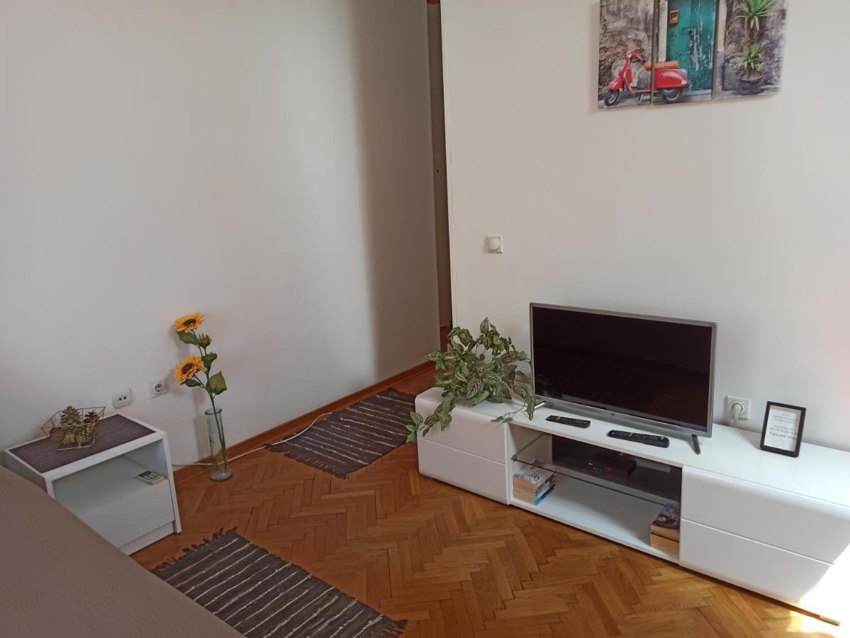 Cozy studio Belgrade  Buitenkant foto