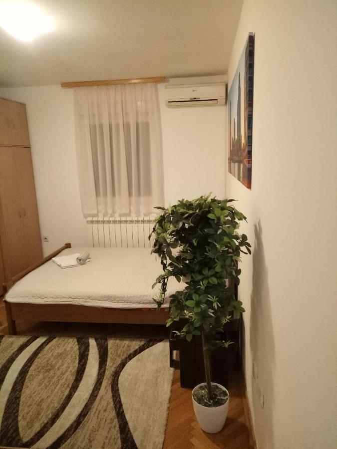 Cozy studio Belgrade  Buitenkant foto