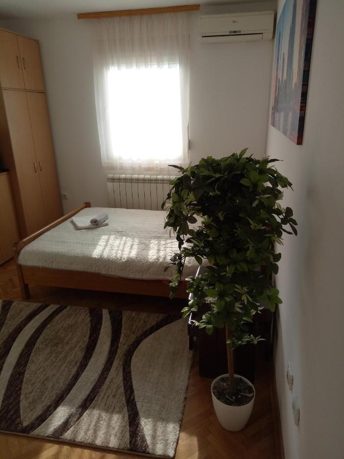 Cozy studio Belgrade  Buitenkant foto
