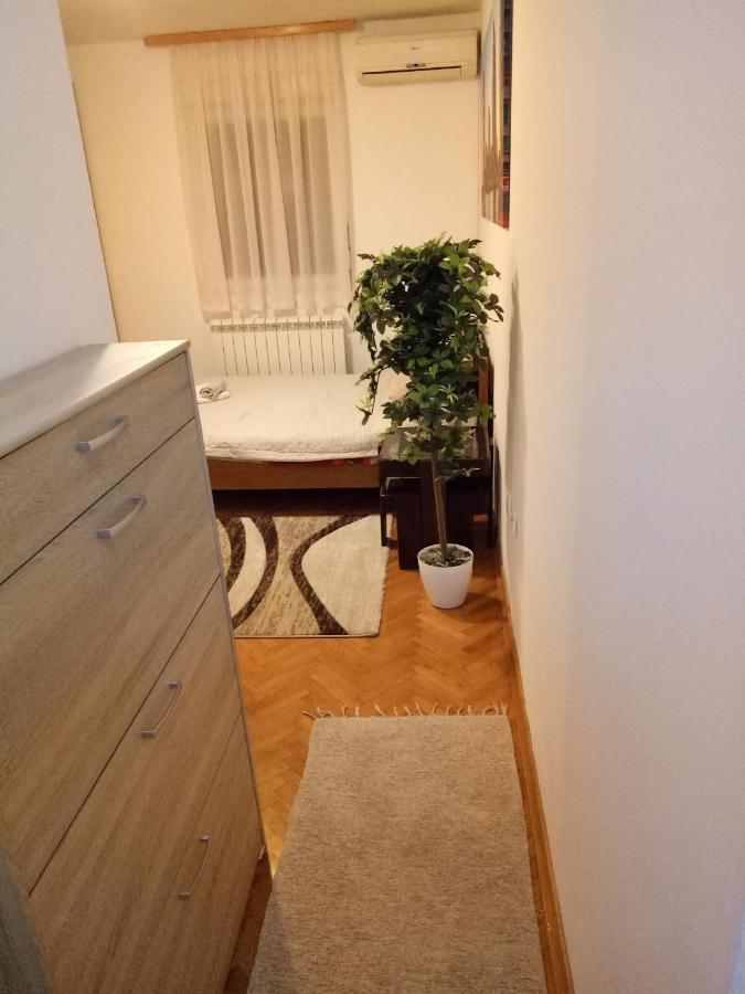 Cozy studio Belgrade  Buitenkant foto
