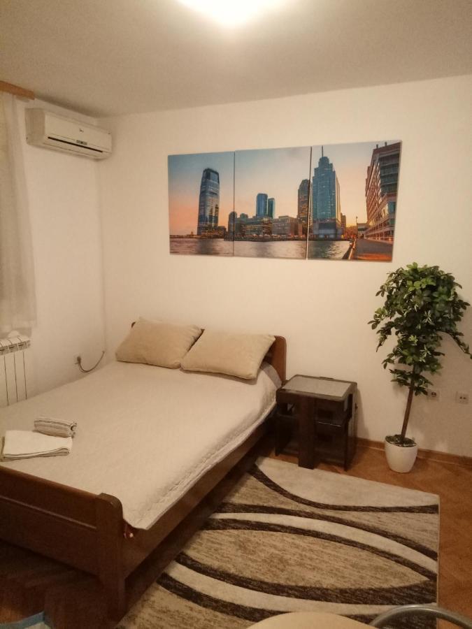 Cozy studio Belgrade  Buitenkant foto